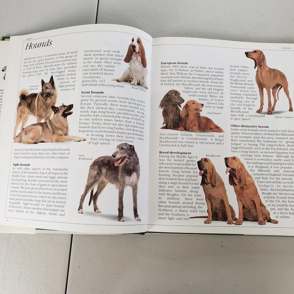 The Ultimate Dog Book David Taylor Hardcover 1990 Illustrated Breeds Guide